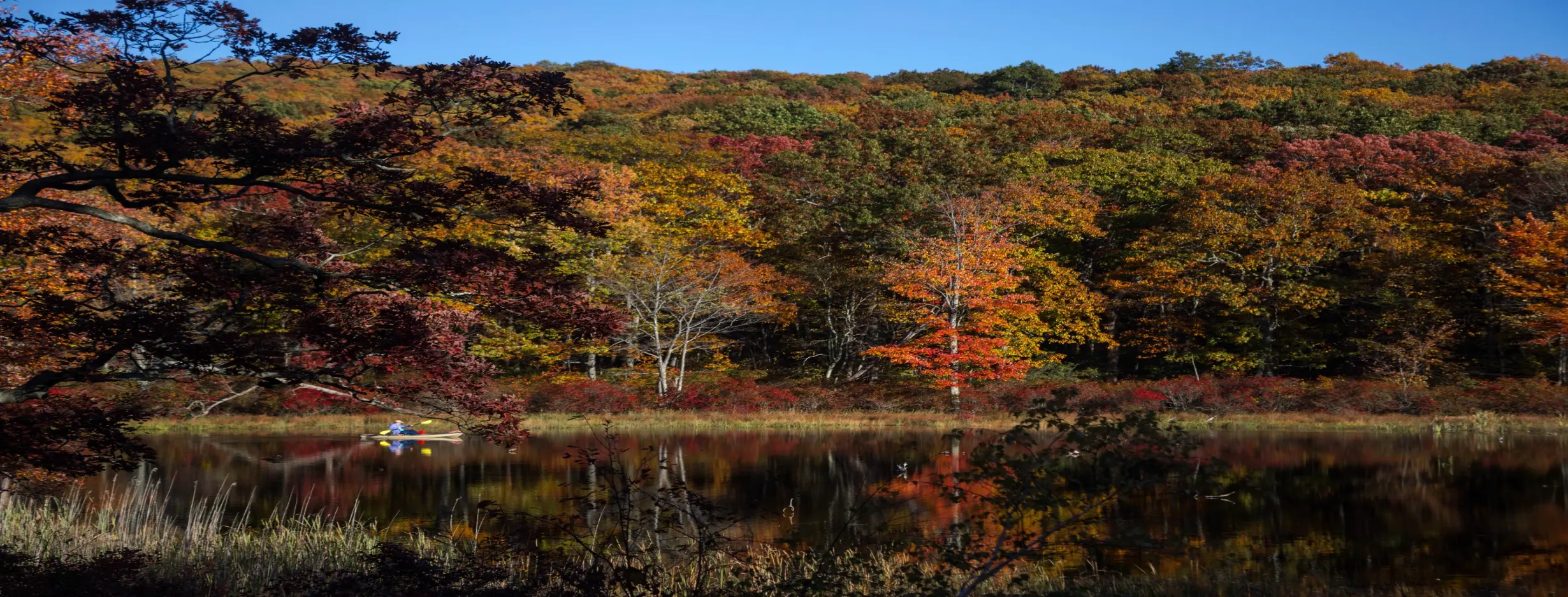 Image for High Point State Park
